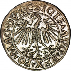 Sigismond II Auguste, demi-penny 1547, Vilnius, belle
