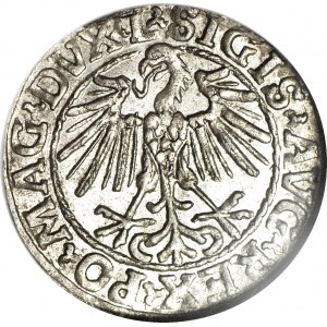 R-, Zygmunt II August, Półgrosz 1548, Wilno, L/LITVA, menniczy, rzadsze