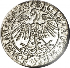 R-, Sigismond II Auguste, demi-penny 1548, Vilnius, L/LITVA, frappe, plus rare