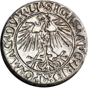 Sigismond II Auguste, demi-penny 1549, Vilnius, frappé