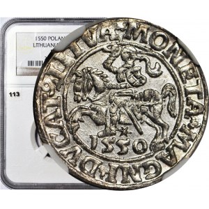 Sigismund II Augustus, Half-penny 1550, Vilnius, minted