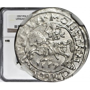 Sigismund II Augustus, Half-penny 1557, Vilnius, minted