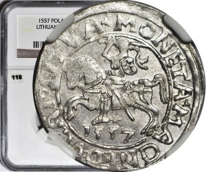 Zikmund II August, půlpenny 1557, Vilnius, raženo