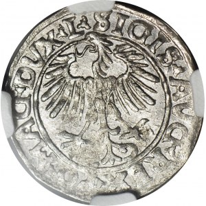 Sigismond II Auguste, demi-penny 1557, Vilnius, frappé