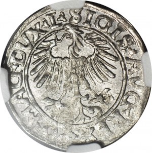 Sigismund II Augustus, Half-penny 1557, Vilnius, minted
