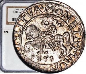 R-, Sigismund II Augustus, Half-penny 1558, Vilnius, L/LITVA, mint, rarer