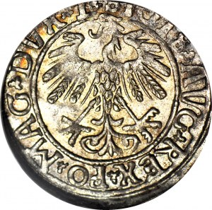 R-, Zygmunt II August, Półgrosz 1558, Wilno, L/LITVA, menniczy, rzadsze