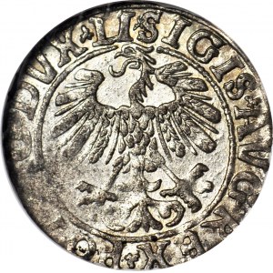 Sigismund II Augustus, Halbpfennig 1558, Wilna, LI/LITVA geprägt