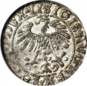 Zikmund II Augustus, půlpenny 1558, Vilnius, ražba LI/LITVA