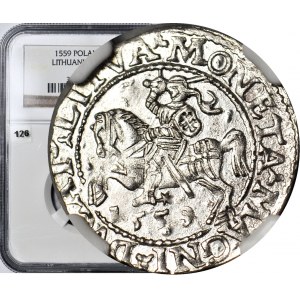 Zygmunt II August, Półgrosz 1558, Wilno, L/LITVA menniczy
