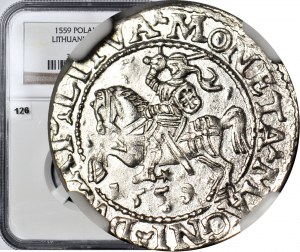 Sigismund II Augustus, Half-penny 1558, Vilnius, L/LITVA minted