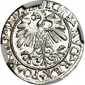 Žigmund II August, polgroš 1558, Vilnius, L/LITVA razené