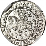 Sigismund II Augustus, Halbpfennig 1558, Wilna, L/LITVA geprägt