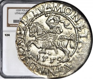 Sigismond II Auguste, demi-penny 1559, Vilnius, L/LITV, magnifique