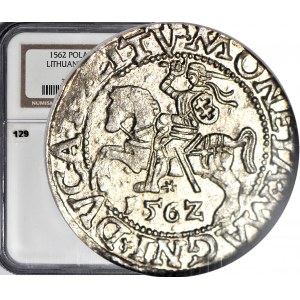 Sigismund II Augustus, Half-penny 1562, Vilnius, minted