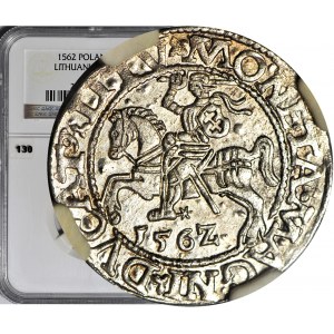 Sigismund II Augustus, Half-penny 1562, Vilnius, minted