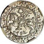 Sigismond II Auguste, demi-penny 1562, Vilnius, frappé