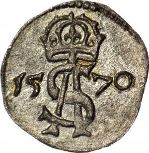 Sigismondo II Augusto, Due gambe 1570 Vilnius, bella