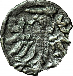 Zikmund II Augustus, denár 1554, Gdaňsk, vzácný