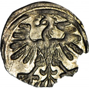 R-, Sigismund II Augustus, Denarius 1559 Vilnius, rare, T.8mk