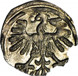 R-, Zygmunt II August, Denar 1559 Wilno, rzadki, T.8mk