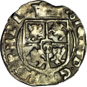 Sigismondo III Vasa, mezzo binario 1616, HAKI