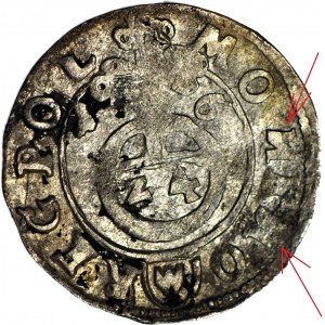 Sigismondo III Vasa, mezzo binario 1616, Bydgoszcz, Awdaniec