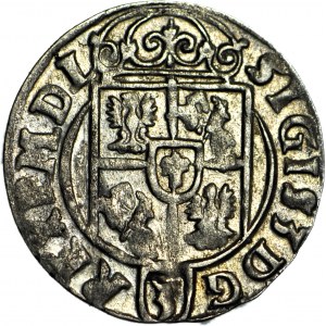 Sigismund III. Vasa, Halbspur 1623, Bromberg dekorativ E, Münze