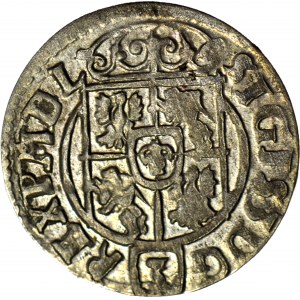 Sigismund III. Vasa, Półtorak 1624, Bydgoszcz, gemünzt