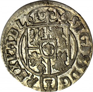Sigismund III Vasa, Half-track 1624, Bydgoszcz, minted