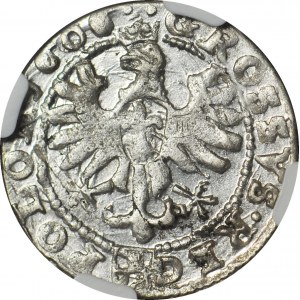 R-, Sigismund III Vasa, 1606 penny, obverse of a troika