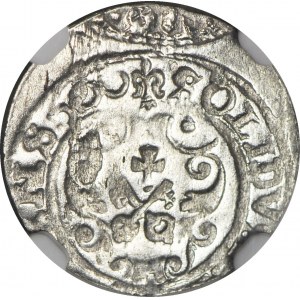 R-, Sigismund III Vasa, Schellfisch 1600, Riga, Datum +600