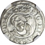 R-, Zygmunt III Waza, Szeląg 1600, Ryga, data +600
