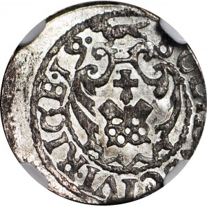 Sigismund III. Vasa, Shelly 1619, Riga, gemünzt