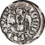 Sigismund III. Vasa, Shelly 1619, Riga, gemünzt