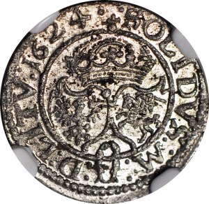Sigismund III. Vasa, Schellfisch 1624, Wilna, gemünzt