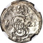 Sigismondo III Vasa, due dollari 1621, Vilnius, coniato