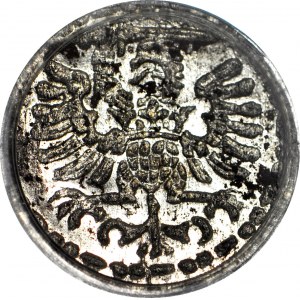 R-, Sigismond III Vasa, Denier 1596, Gdansk, monnaie, variété rare avec petite date
