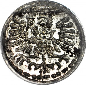 R-, Sigismund III. Vasa, Denar 1596, Danzig, Münzstätte, seltene Variante mit kleinem Datum