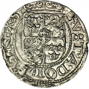 Gustaw Adolf, Szwedzka okupacja Rygi, Półtorak 1624, Ryga, piękny