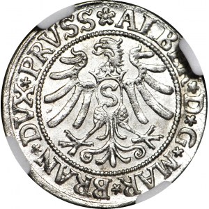 Duchy of Prussia, Albrecht Hohenzollern, 1532 penny, Königsberg, WYSIWYG