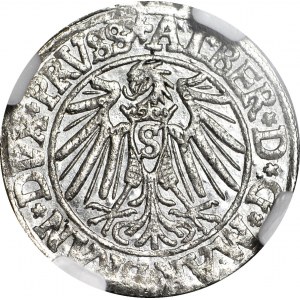 Kniežacie Prusko, Albrecht Hohenzollern, Grosz 1540, Königsberg, razené