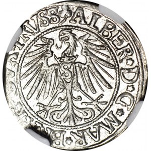 Knížecí Prusko, Albrecht Hohenzollern, Grosz 1542, Königsberg, raženo