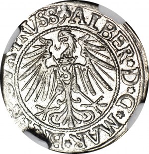 Duchy of Prussia, Albrecht Hohenzollern, 1542 penny, Königsberg, minted