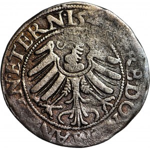 Schlesien, Herzogtum Legnicko-Brzesko-Wołowskie, Friedrich II., Pfennig 1543 Datum rechts, Brzeg
