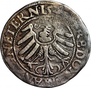 Slezsko, knížectví legnicko-brzesko-wołowskie, Fridrich II., groš 1543 vpravo, Brzeg