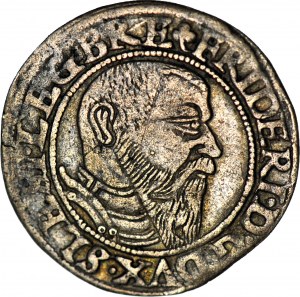 Slezsko, Fridrich II., Penny 1545, Brzeg