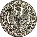 RR-, Schlesien, Drei Brüder, 3 krajcars 1657, Brzeg, ohne E-W, gestempelt