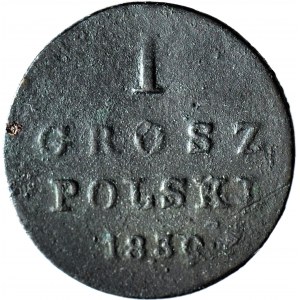 Kingdom of Poland, 1 penny 1830 FH