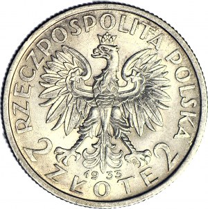 2 oro 1933, Testa, coniato
